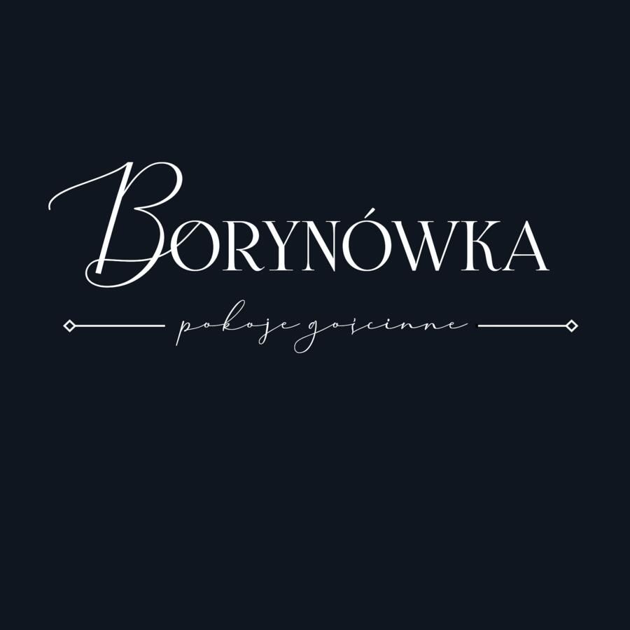 Гостевой дом Willa Borynówka Казимеж-Дольны-4